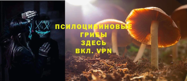гашик Баксан
