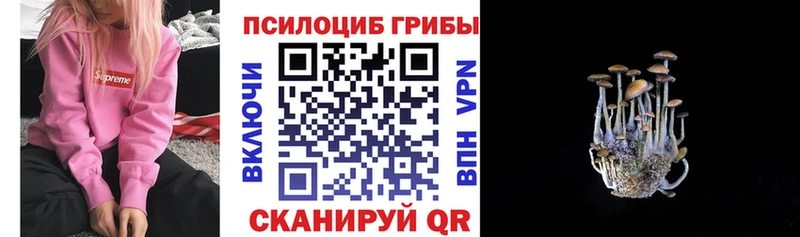 Купить где  Верхняя Тура  Галлюциногенные грибы Psilocybine cubensis 